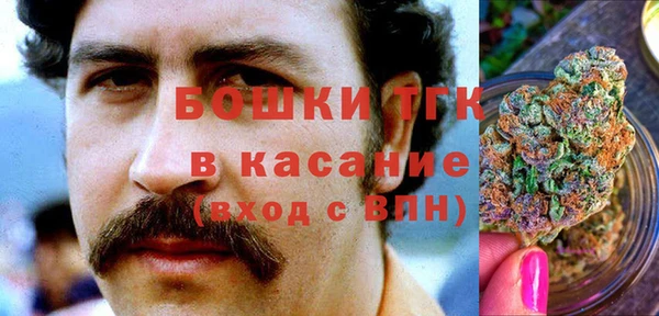 ешки Вязьма